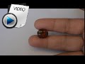 9.49 Carat Hessonite (Gomed) Stone Video
