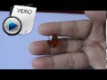 9.78 Carat Hessonite (Gomed) Stone Video