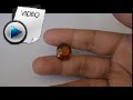 9.94 Carat Hessonite (Gomed) Stone Video