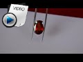 14.42 Carat Hessonite (Gomed) Stone Video