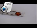 6.66 Carat Hessonite (Gomed) Stone Video