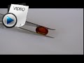 7.71 Carat Hessonite (Gomed) Stone Video