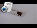9.65 Carat Hessonite (Gomed) Stone Video