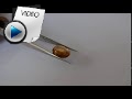 10.12 Carat Hessonite (Gomed) Stone Video