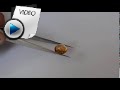 8.15 Carat Hessonite (Gomed) Stone Video