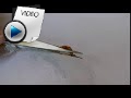 9.8 Carat Hessonite (Gomed) Stone Video