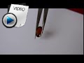 7.25 Carat Hessonite (Gomed) Stone Video