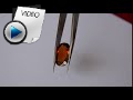 8.78 Carat Hessonite (Gomed) Stone Video
