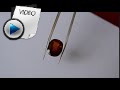 9.8 Carat Hessonite (Gomed) Stone Video