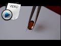 9.9 Carat Hessonite (Gomed) Stone Video