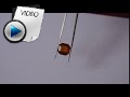 4.99 Carat Hessonite (Gomed) Stone Video
