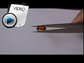 4.58 Carat Hessonite (Gomed) Stone Video
