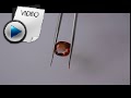 5.04 Carat Hessonite (Gomed) Stone Video