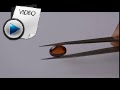 5.21 Carat Hessonite (Gomed) Stone Video
