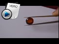 6.25 Carat Hessonite (Gomed) Stone Video