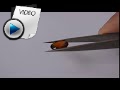 6.79 Carat Hessonite (Gomed) Stone Video