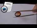 8.26 Carat Hessonite (Gomed) Stone Video