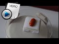 6.76 Carat Red Coral Stone Video