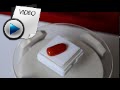 7.66 Carat Red Coral Stone Video