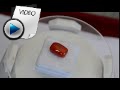 10.47 Carat Red Coral Stone Video