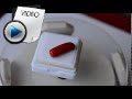5.92 Carat Red Coral Stone Video