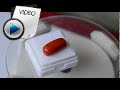 9.54 Carat Red Coral Stone Video