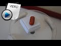 11.25 Carat Red Coral Stone Video