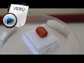 8.54 Carat Red Coral Stone Video