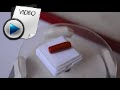 9.06 Carat Red Coral Stone Video