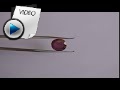 7.02 Carat Ruby Stone Video