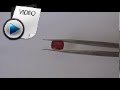 7.35 Carat Ruby Stone Video