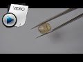 7.66 Carat Yellow Sapphire (Pukhraj) Stone Video