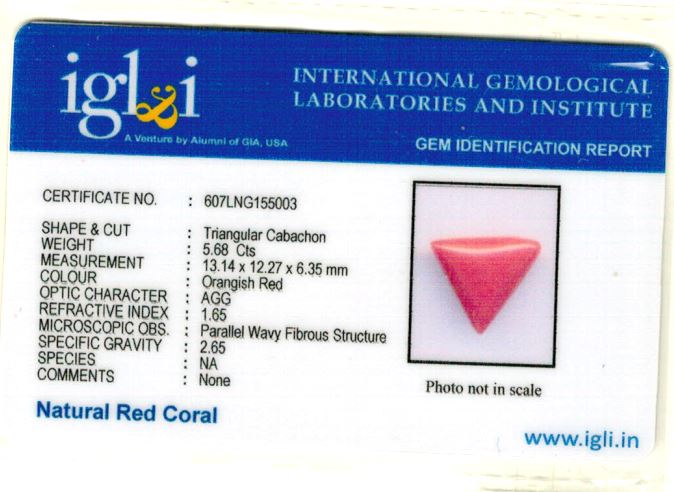 6.31-ratti-certified-triangular-red-coral-gemstone Certificate (ID-106)