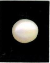 1.25-ratti-certified-white-pearl-stone 1.25-ratti-certified-white-pearl-stone