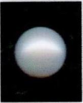10.25-ratti-certified-white-pearl-stone 10.25-ratti-certified-white-pearl-stone