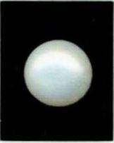10.25-ratti-certified-white-pearl-stone 10.25-ratti-certified-white-pearl-stone