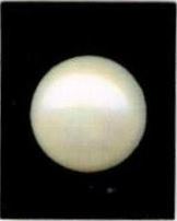 12.25-ratti-certified-white-pearl-stone 12.25-ratti-certified-white-pearl-stone