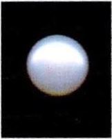 7.25-ratti-certified-white-pearl-stone 7.25-ratti-certified-white-pearl-stone