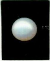 7.25-ratti-certified-white-pearl-stone
