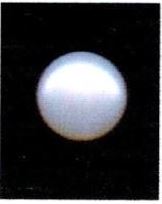 7.25-ratti-certified-white-pearl-stone 7.25-ratti-certified-white-pearl-stone