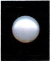7.25-ratti-certified-white-pearl-stone 7.25-ratti-certified-white-pearl-stone