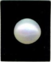 7.25-ratti-certified-white-pearl-stone