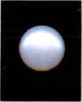 8.25-ratti-certified-white-pearl-stone 8.25-ratti-certified-white-pearl-stone