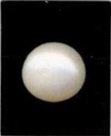 8-ratti-certified-white-pearl-stone 8-ratti-certified-white-pearl-stone