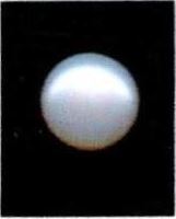 8.25-ratti-certified-white-pearl-stone 8.25-ratti-certified-white-pearl-stone