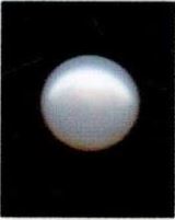 8.25-ratti-certified-white-pearl-stone 8.25-ratti-certified-white-pearl-stone