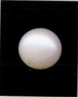 6.25-ratti-certified-white-pearl-stone 6.25-ratti-certified-white-pearl-stone