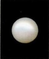 6.25-ratti-certified-white-pearl-stone 6.25-ratti-certified-white-pearl-stone
