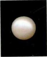 6.25-ratti-certified-white-pearl-stone 6.25-ratti-certified-white-pearl-stone