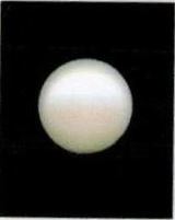 6.25-ratti-certified-white-pearl-stone 6.25-ratti-certified-white-pearl-stone